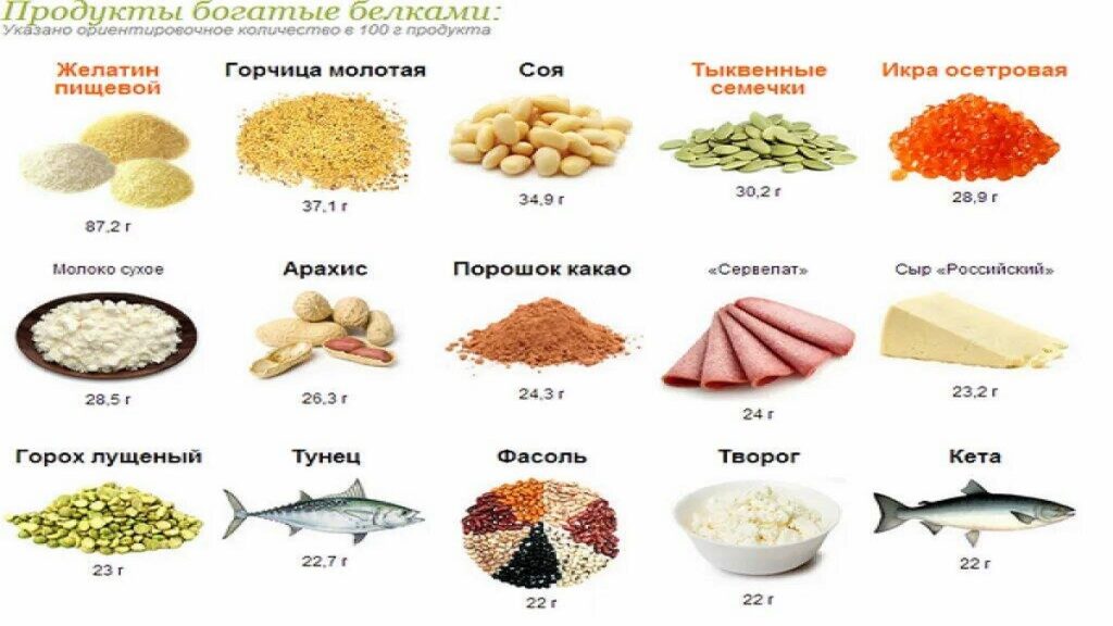 Продукты богатые белком