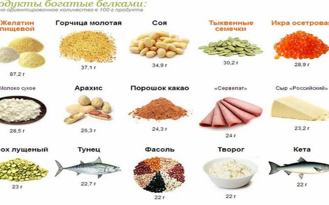 Как употреблять достаточно белка каждый день?